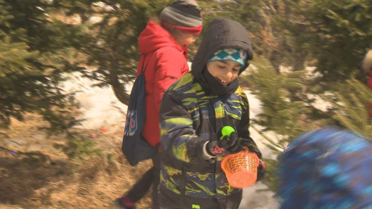 Easter egg hunt an annual tradition at Montreal’s Quinn Family Farm - image