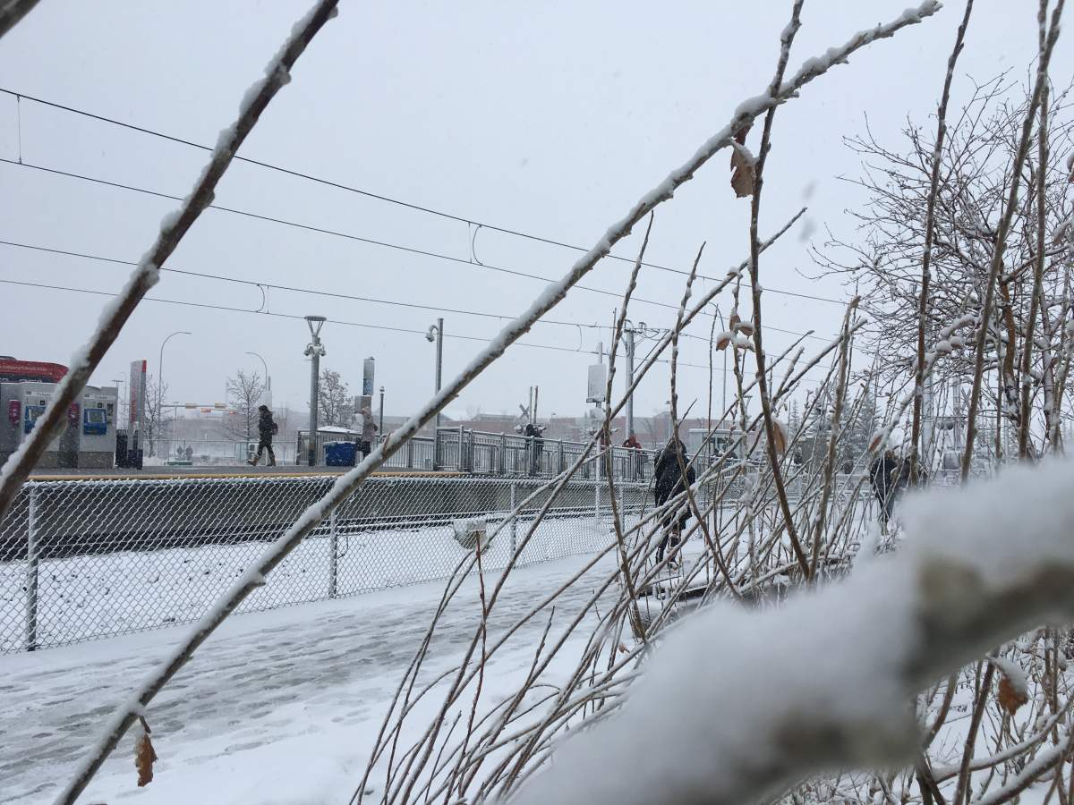 Calgary got hit with more snow Monday morning.