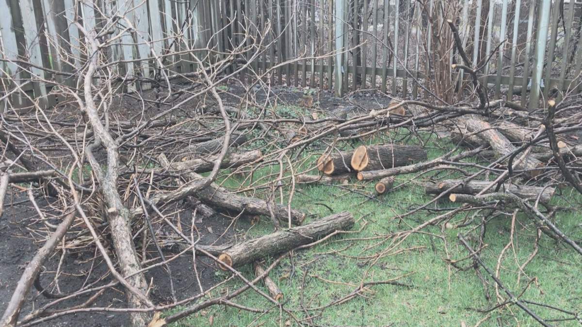 Marlene Hanna says Bell cut down branches from a neighbouring property and left them in her backyard.