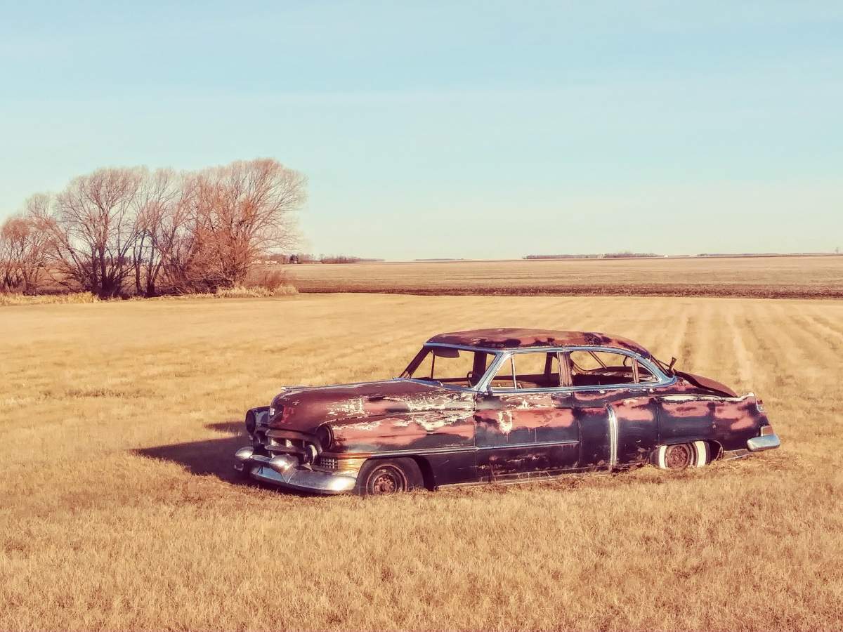 Dry conditions across the fields in Sandord Manitoba.
