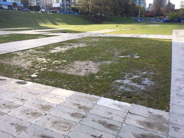 Sunset Park Field following 4/20 event in Vancouver. 