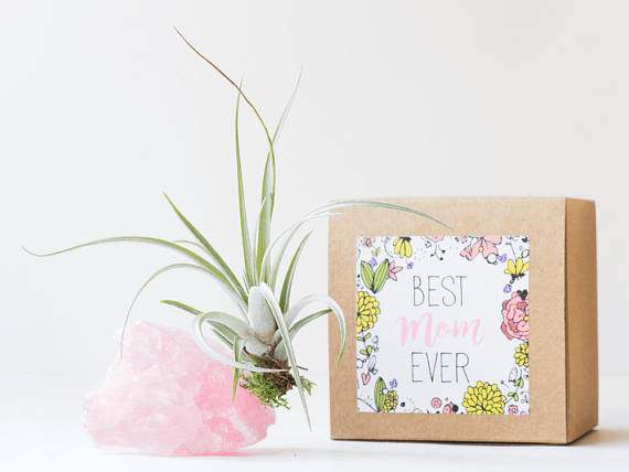 This stunning handmade planter comes with a rose quartz crystal as well as a personalized box. Whether Mom is looking for a new desk decor or just something to give attention to, she’ll love to see this plant thrive within weeks.Price: $48Available at Etsy