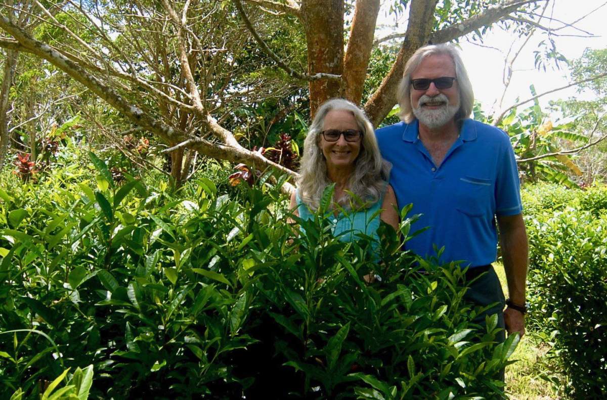 Eliah Halpenny and her husband Cam Muir are seen in this undated handout photo.