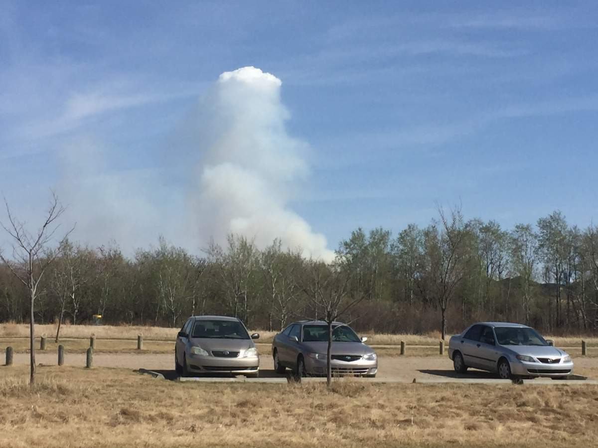 The updraft in the fire was strong enough to produce a small pyrocumulus cloud.