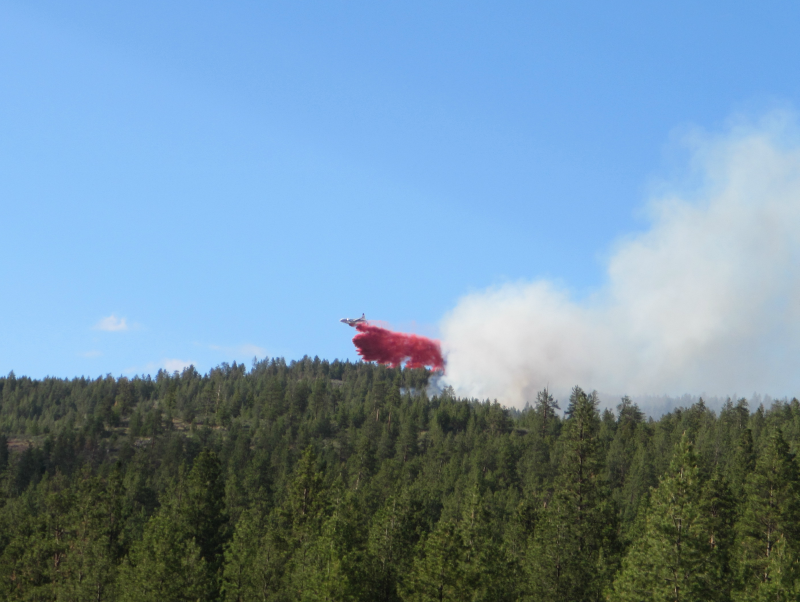 Update: Small wildfire near Oliver, B.C. not likely to spread - image