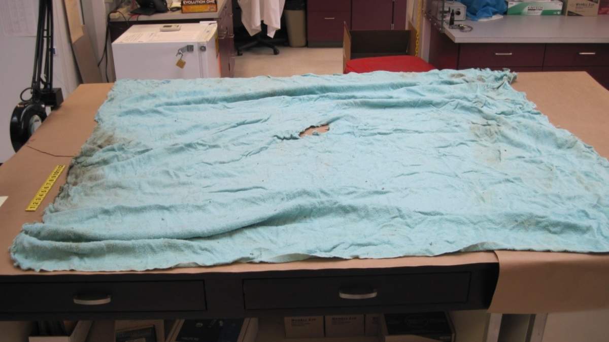 Do you recognize this blanket?