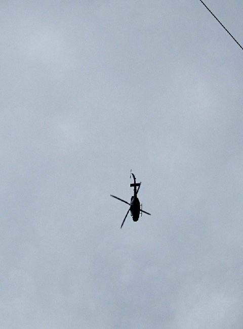 The last two days of Canadian Armed Forces helicopter training over Hamilton has been cancelled to avoid disturbing a nest of baby falcons.