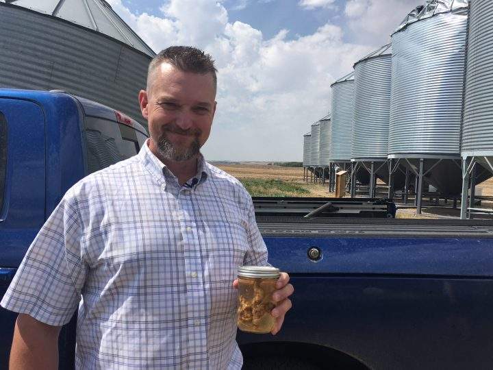 Clint Jurke with the Canola Council of Canada suspects it’s more prevalent than the number of confirmed cases would imply.