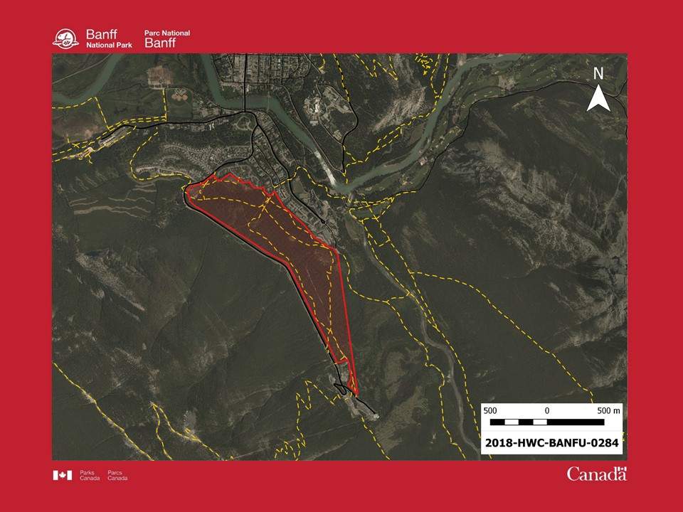 Several trails and recreational areas near the Banff Springs Hotel were closed May 22 after an aggressive black bear was seen in the area. 