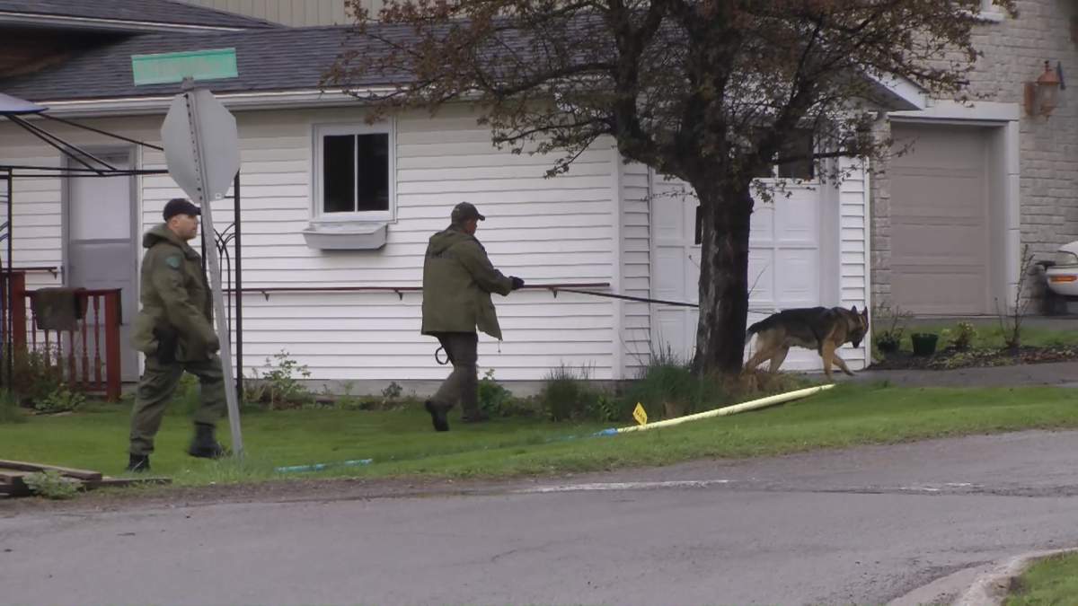 The Emergency Response Team and Canine Unit searched for the suspect.