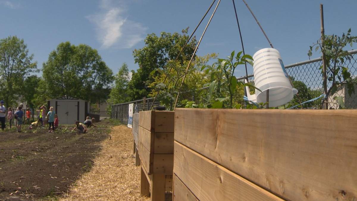 A community garden in Otterburn Park is bringing together multiple generations of people.