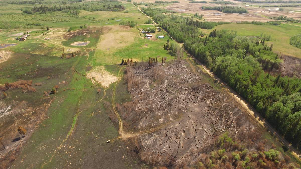 An aerial view of George Percy’s farm. A recent wildfire burned right up to the edge of his property.