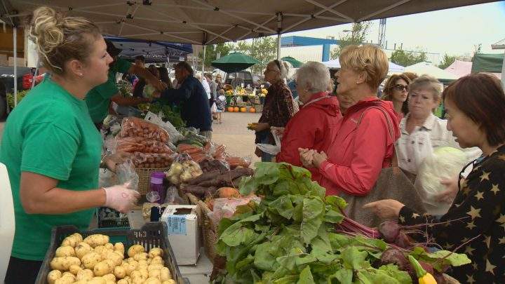 Saskatoon Farmers’ Market lease is up for renewal - image