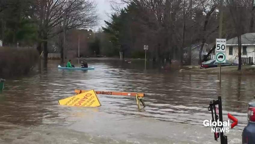 N.B. officials reiterate warning about edible plants in flood zone, plan cleanup - image
