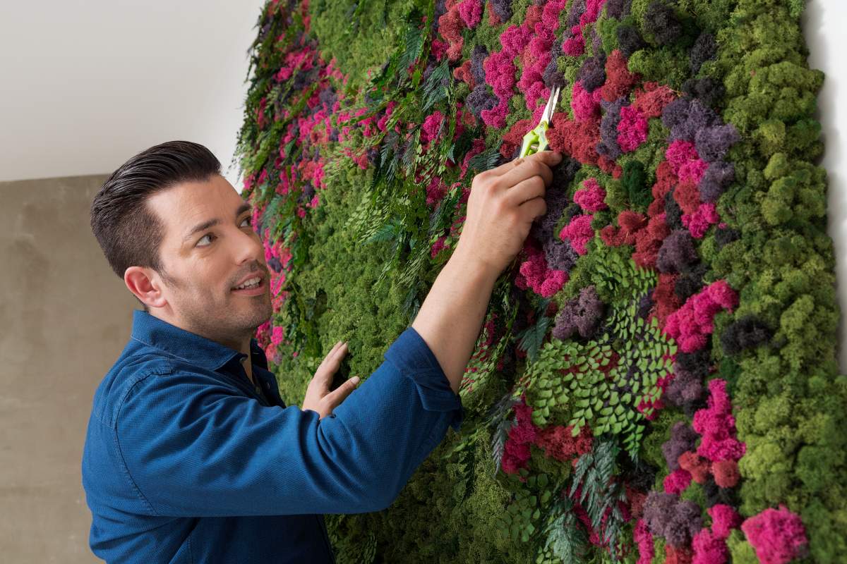 Host Jonathan Scott trims a living wall in his living room, as seen on Brother vs. Brother.