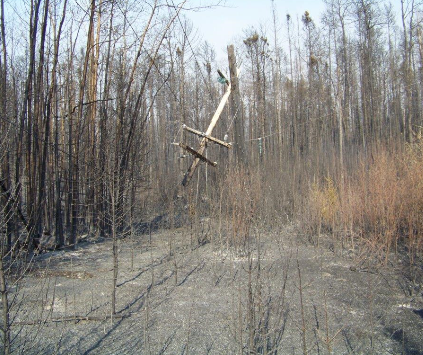 New pictures from Little Grand Rapids, Man. show hydro line badly damaged in wildfire - image