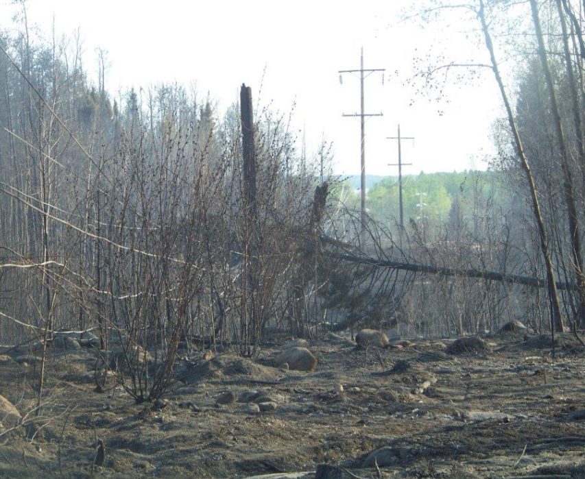 New pictures from Little Grand Rapids, Man. show hydro line badly damaged in wildfire - image