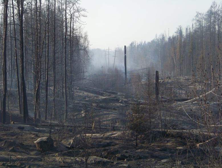 Can natural disasters boost your faith? UBC research says yes, if you’re already religious - image