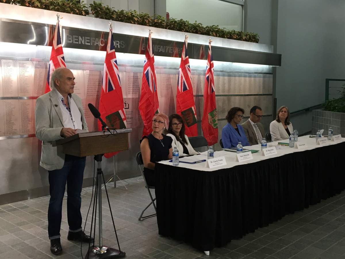 Dr. Brian Rush explains the recommendations included in the Virgo report on mental health and addiction in Manitoba. 
