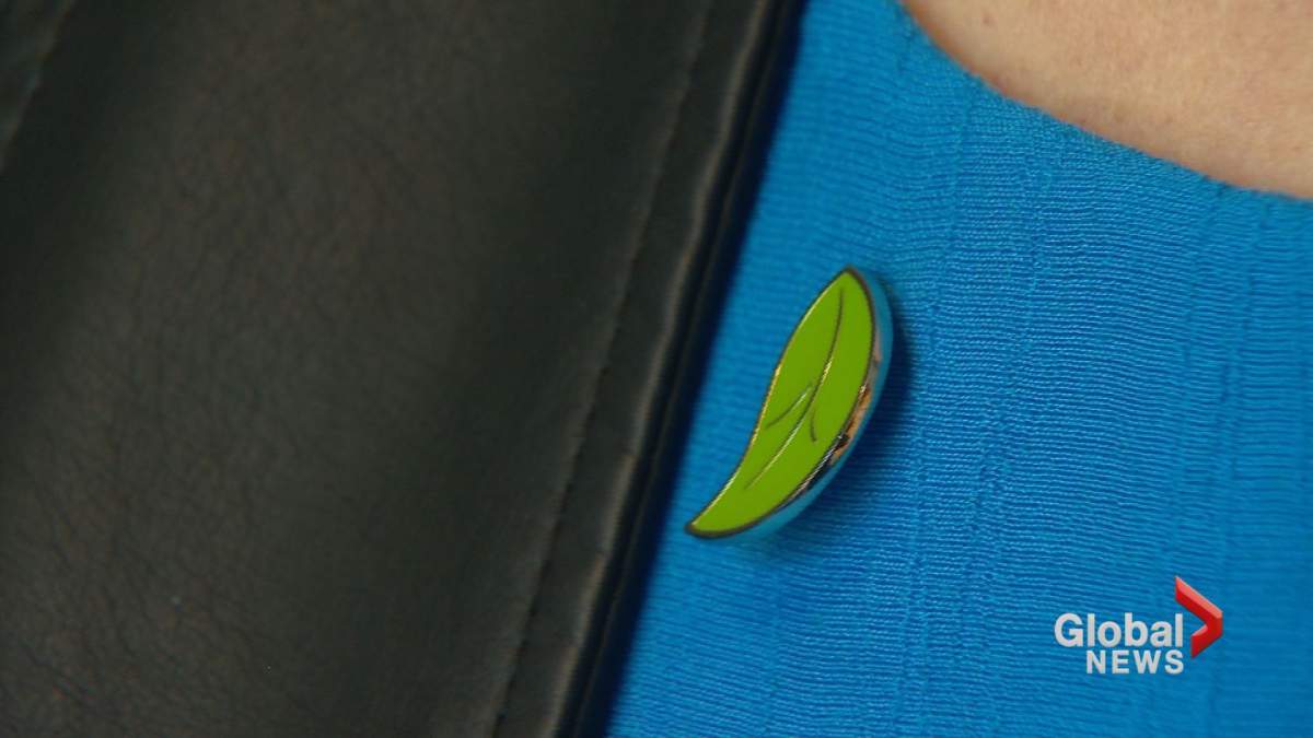One side of a leaf pin worn by Shanda and Mike as a reminder of the living kidney transplant.