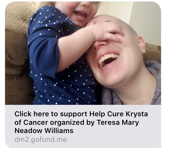A screen capture of a GoFundMe account that has since been taken down.