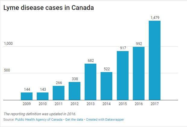 Tick forecast 2018: Experts predict more Lyme disease in Canada - image