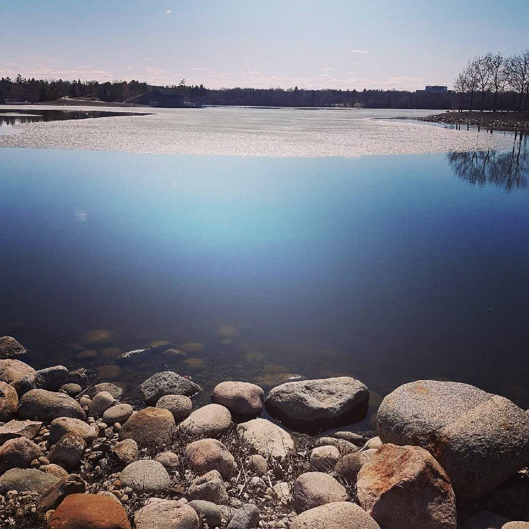 The Conexus Arts Centre announced a new rock music festival that is coming to Regina this summer that will ‘Shake the Lake’ at Wascana Park.