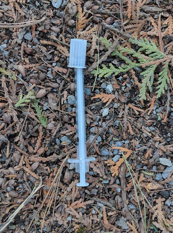 Woman speaks out after her friends 5-year-old daughter was pricked by a needle at Jackson Park.