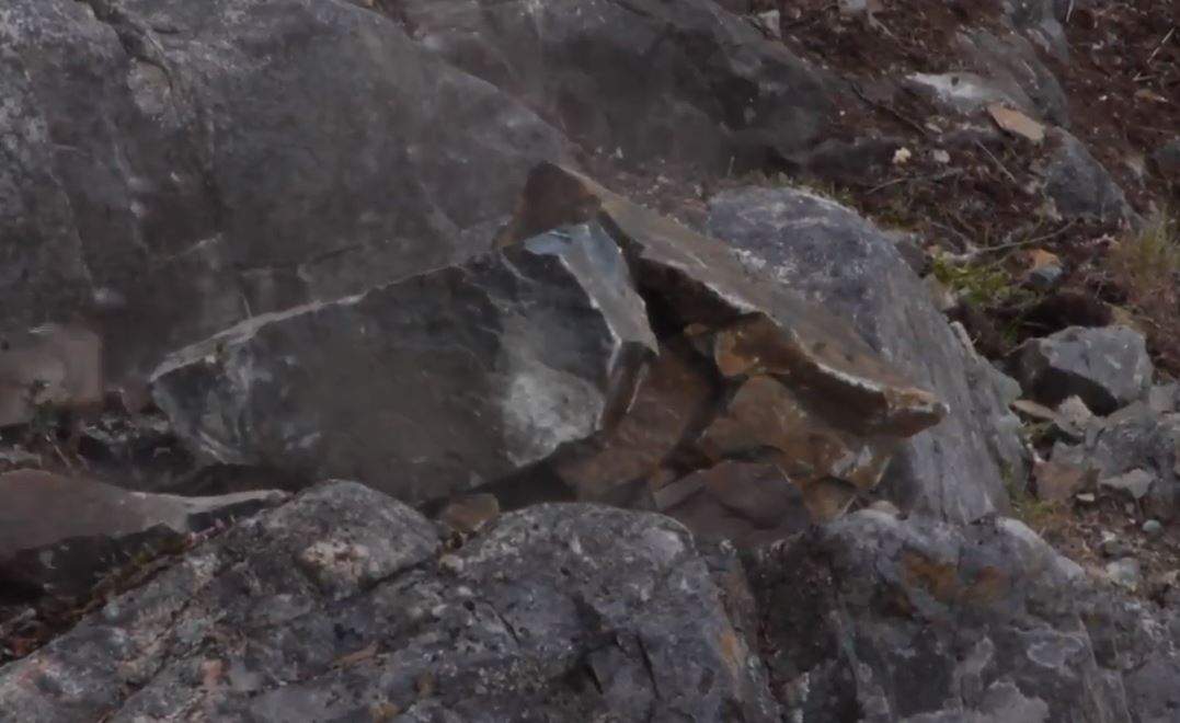 The rocks on top of the nest. Credit: Vincenz Eberl – still from YouTube