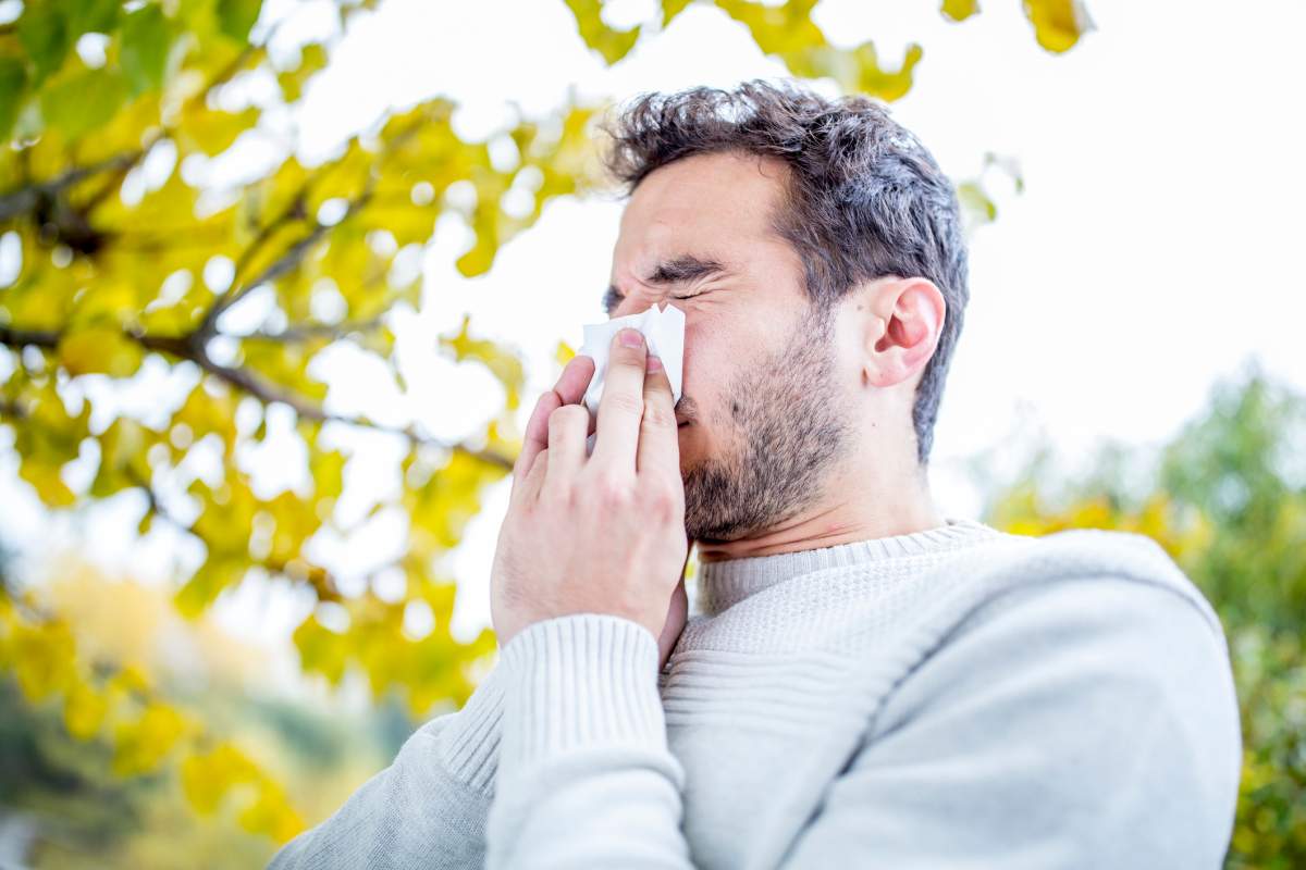 Ragweed is behind the allergy symptoms of many Manitobans this time of year.