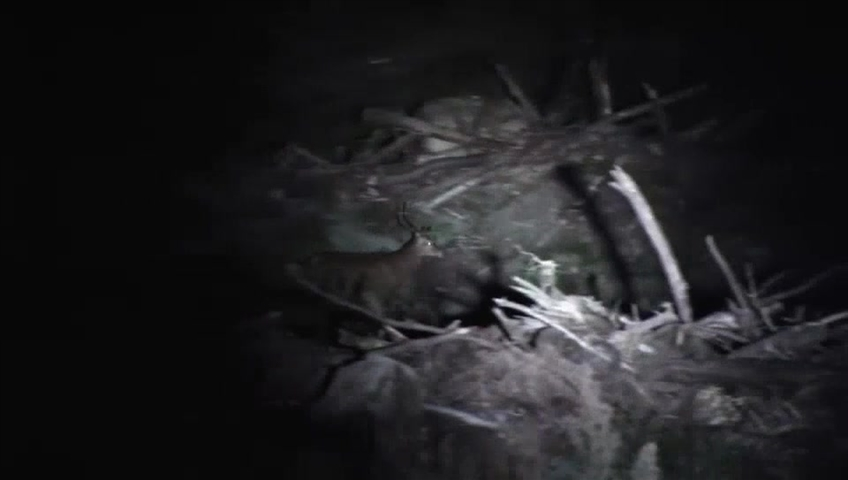 Manitoba is spending $300,000 to further crack down on illegal night hunting.