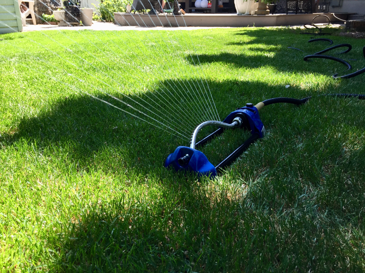 Paul Dunphy answers how to water your garden so it can reach its full potential.