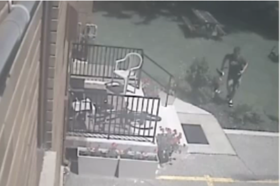 A suspect has been identified in the beating of a dog in London.