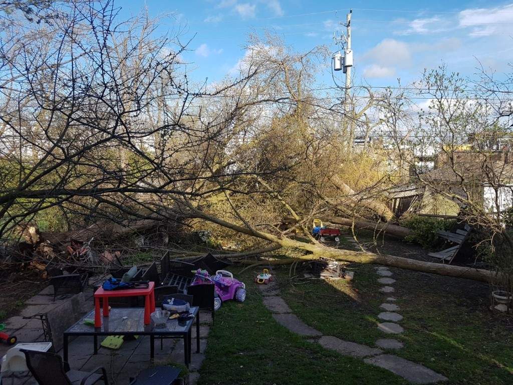 Leanne Johnston's backyard after the wind storm that hit Toronto on May 4.