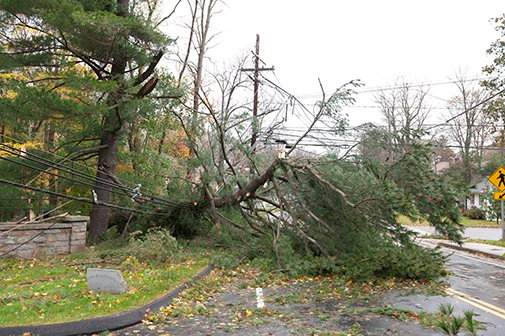 Guelph Hydro said 1,600 customers were without power during Friday's wind storm due to downed wires.