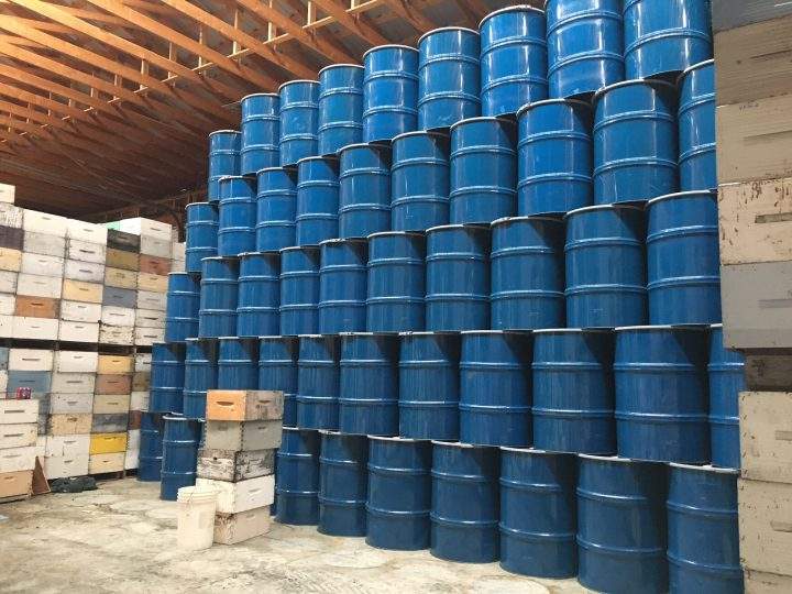 Officials call this the worst year in the history of beekeeping in Saskatchewan - image