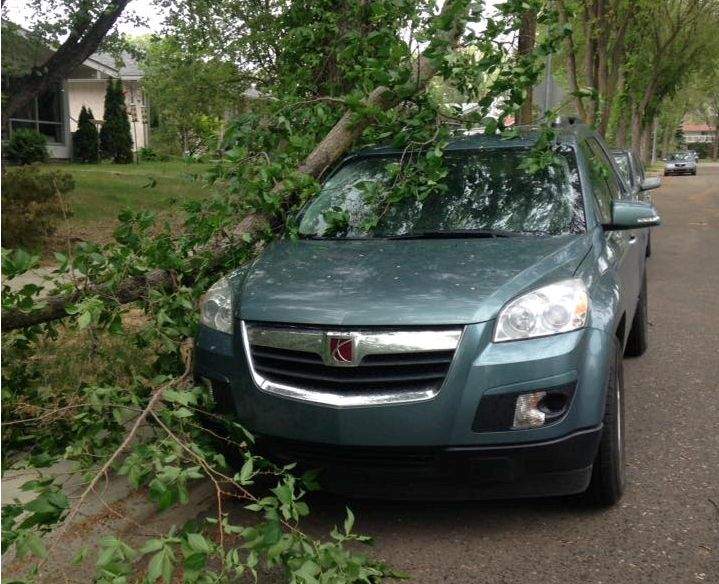 Strong wind gusts break off tree branches in Terrace Heights, Edmonton on June 11, 2018.