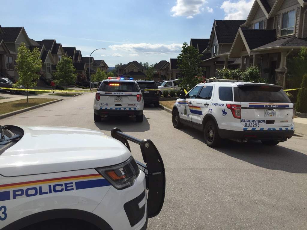 Police on scene at 183A street and 67th Avenue, where witnesses say they heard about six gunshots on Saturday.
