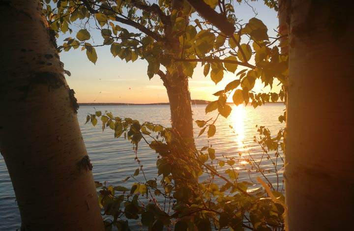 Charlie Buffin took the June 29 Your Saskatchewan photo at Dore Lake.