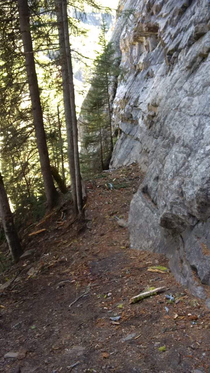 This popular area with hikers called 'Outhouse Wall' in Lake Louise was where three climbers were struck by a tree Tuesday afternoon.