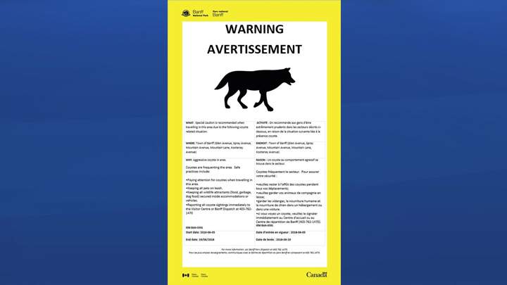A coyote warning was issued by Parks Canada for the Banff area Tuesday.