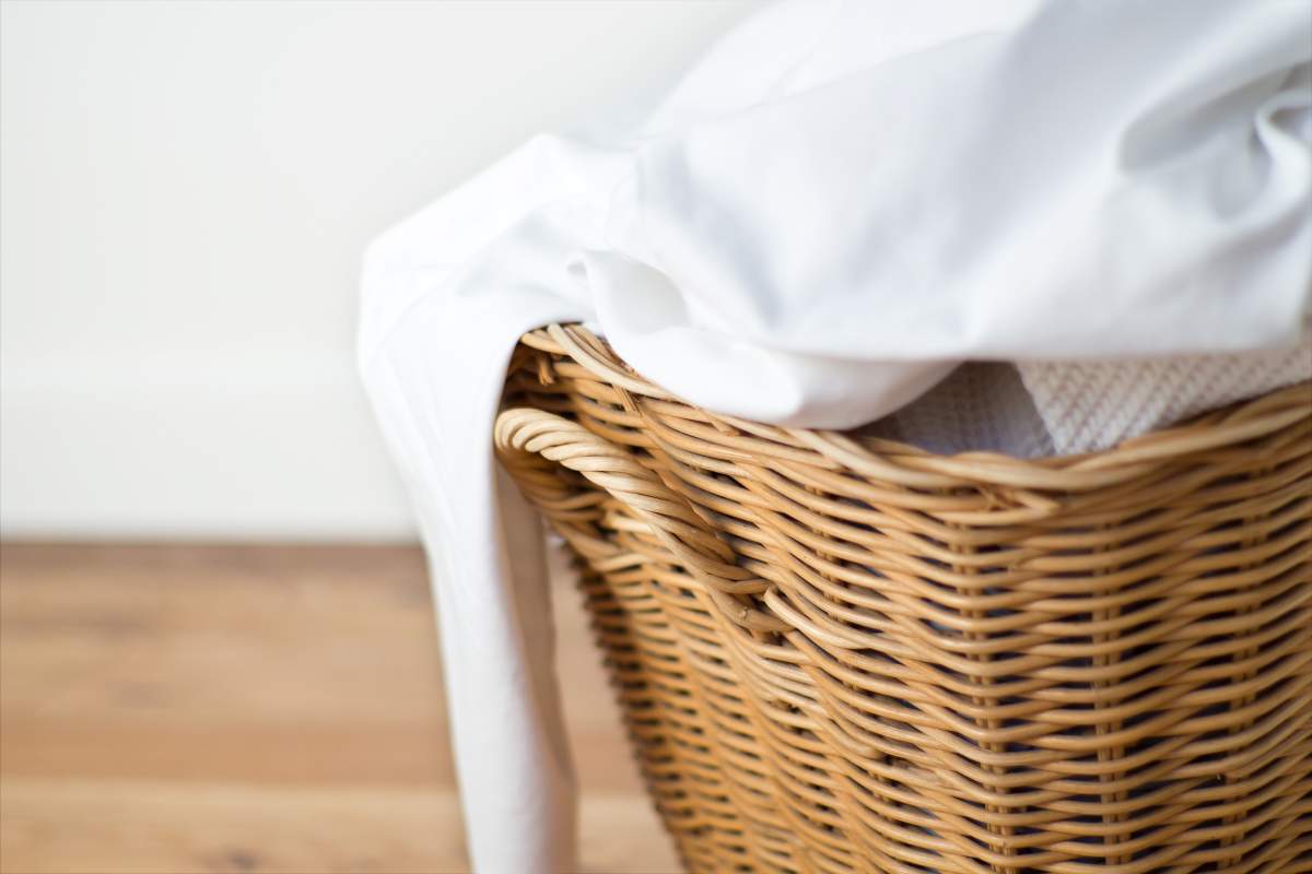If you are washing white clothes, Lanter suggests skipping detergent and fabric softener while using bleach.