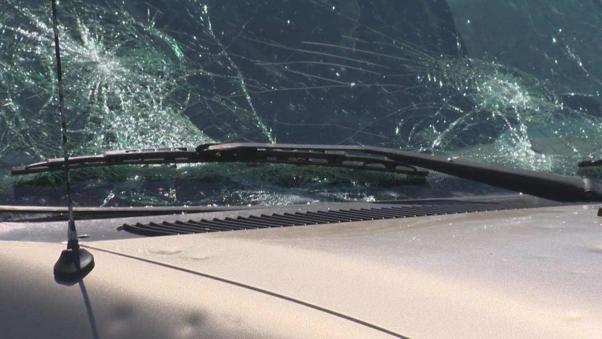 One of five vehicles at the Pelican Campground and Lounge with its windows smashed.
