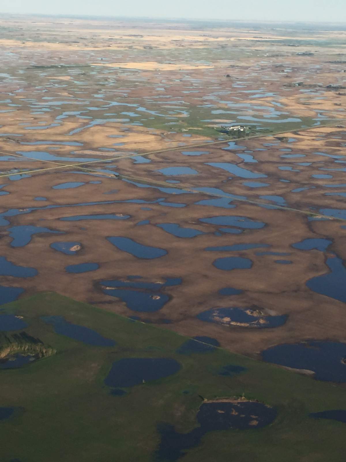 Saskatchewan Agriculture says while some areas of the province received much needed rain, the southwest region remains very dry.