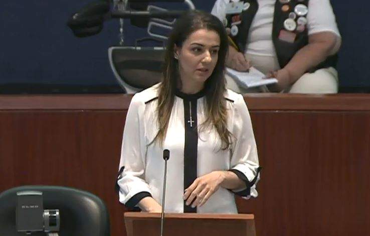 Miganoush Megardichian speaks at Toronto city council on Tuesday.