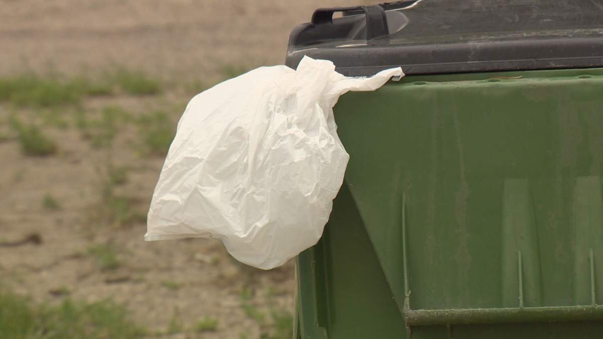 Moose Jaw's Youth Advisory Committee is pushing for a city-wide ban on single-use plastic bags.