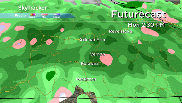More organized rain rolls in across the region on Holiday Monday.