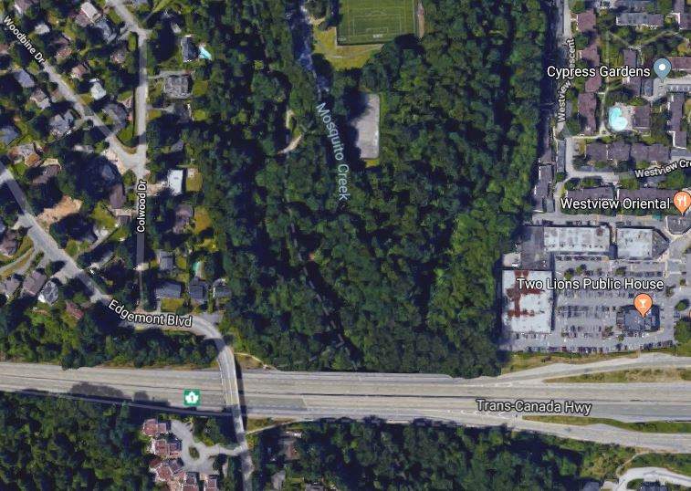 North Vancouver RCMP say the suspicious fires were all set in the Mosquito Creek area.