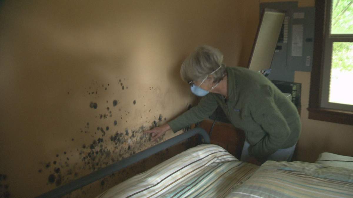 Residents in Grand Forks are facing growing mould problems as they deal with the flooding aftermath.