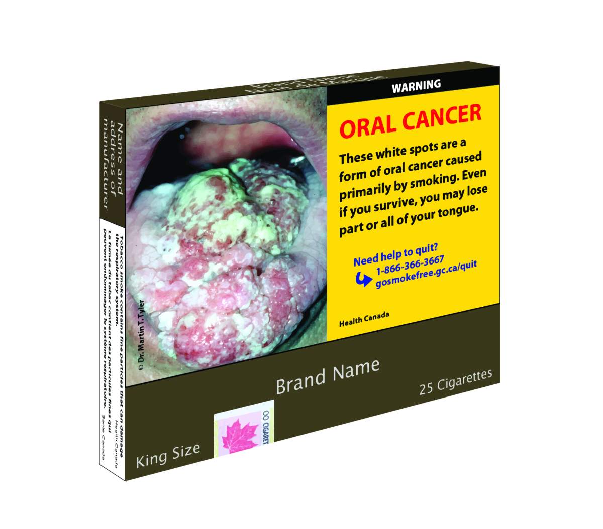 A Health Canada mockup of what plain cigarette packaging might look like if their proposed regulations are passed.